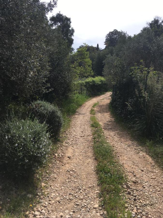 Pura Vigna Immerso Nella Natura Vicino Al Mare