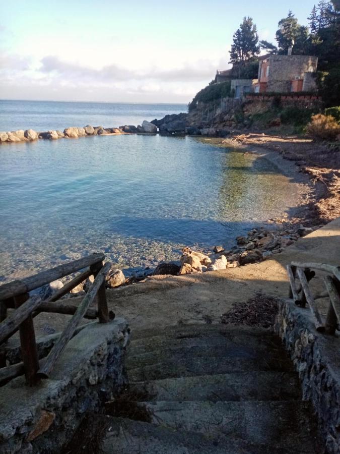 Pura Vigna Immerso Nella Natura Vicino Al Mare Chalet