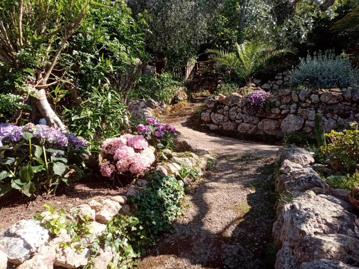 Chalet Pura Vigna Immerso Nella Natura Vicino Al Mare Porto Santo Stefano (Grosseto)